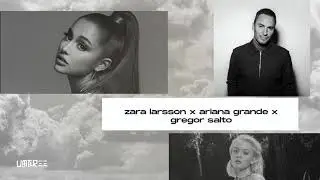 Zara Larsson x Ariana Grande x Gregor Salto (Umbree Mashup) [TikTok]