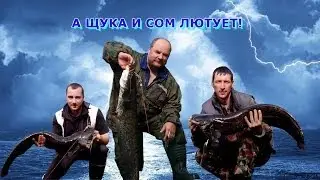 ТРОЛЛИНГ ЩУКИ [А ЩУКА И СОМ ЛЮТУЮТ]