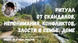 Ритуал от скандалов, непонимания, конфликтов, злости в семье, доме