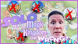 I Did Magic Kingdom Alone But Things Didn't Go As Planned