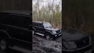 Toyota Land Cruiser Prado 95: Reliability, Comfort, and Impeccable Quality