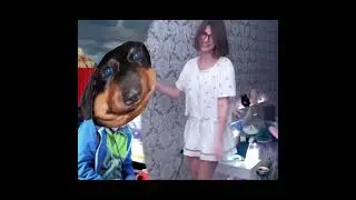 Стримерша ударила Dawgosa по яйцам за его слова