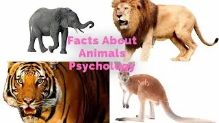 Interesting Facts You Should Know About Animals|Birds|Insects.