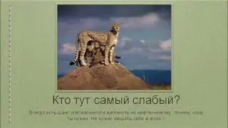 Юлия Третьякова. Осознанный Я - Осознанный Город