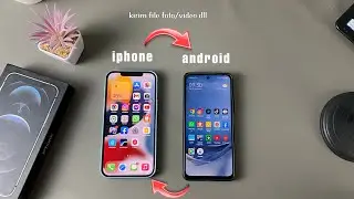 Cara Pindahkan/Transfer File Foto Atau Video Dari Iphone Ke Android Dan Sebaliknya
