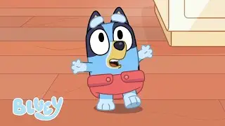 Gara di bebè | Bluey Italiano Canale Ufficiale