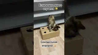 Как сделать самодельную игрушку для кошки 🧸 Урок, очумелые ручки 🤗