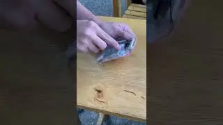 very loud video
