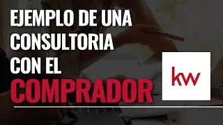 Consultoria con el comprador (Ejemplo)