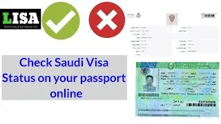 How to check Saudi visa status with passport number? - English