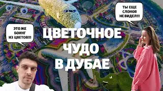 Сад Чудес в Дубае. Цветочный Боинг реального размера!!!