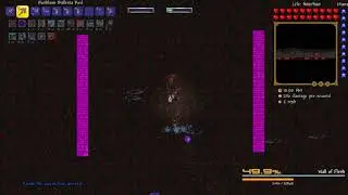 Terraria Calamity Mod: Death Mode - Wall of Flesh Summoner No-hit