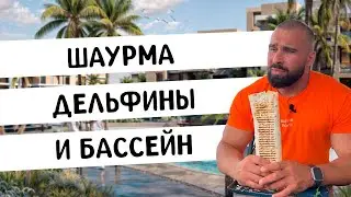 Большая шаурма на отдыхе