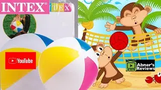 Intex 24inch Glossy Panel Ball