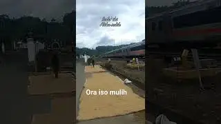 setasiun ijo Rowokele