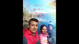 Trip to Famous Ruddalen | Swedish Spring | Frölunda Torg | Family Picnic with Kid in Swedish Woods