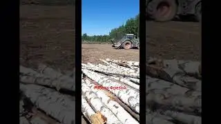 Мульчирование почвы!