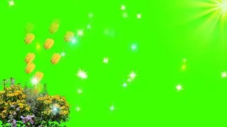 super green screen effects | rose green screen background video effect hd
