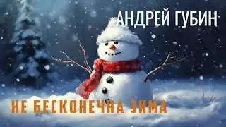 Не бесконечна зима — Андрей Губин