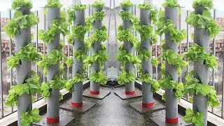 Automatic Watering Stand Garden Idea _ Recycling PVC Pipe Makes Beautiful Cegetable Garden Clean