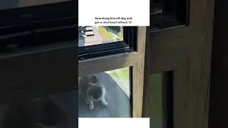 Bro is not afraid of heights 😭 