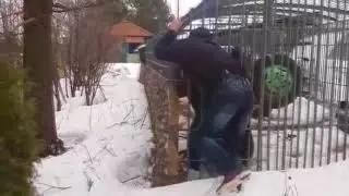 Бизарщина с мужиком и медведем