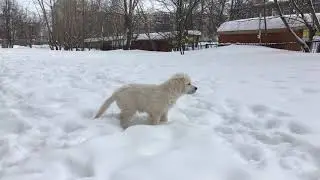 IMG 1213