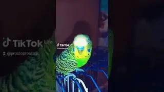 А на лицо тебе насрать?!