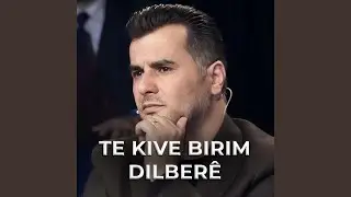 Te kive birim dilberê