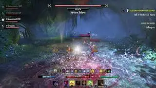 ESO PC Leveling Getting My Setup In Place