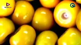 “Los subproductos de frutas tropicales” con el Mtro. Manuel Herrera – Acceso Directo