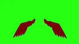 Green Screen Red Wing Animation - FREE TO USE