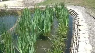 Плавательный пруд 80м2 и рыбный пруд 130м2 (часть1)