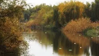Экология: Миусу - жизнь!