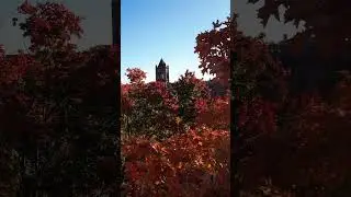 Fall Foliage seen with Avata 