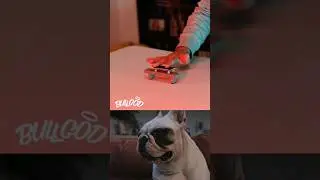 DOG's React #Fingerboard