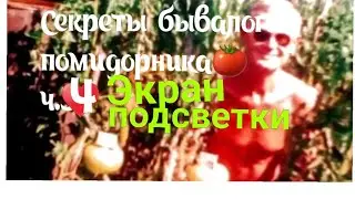 💕1198💕ПОДСВЕТКА!🌞 Выращиваем рассаду без фитоламп.🫢🌿ЭКРАН для подсветки рассады ..🌿🌿🌿🌞🌞🌞