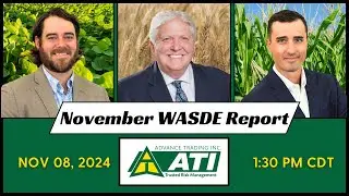 USDA Quarterly Grain Stocks Report Review | November 8, 2024
