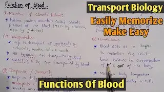 Functions of blood In Human Body | Class 11 Biology