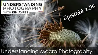 Understanding Macro Photography - Episode 205 of Understanding Photography with Kim Ayres