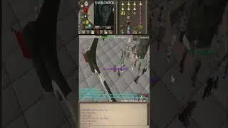 NEW MEGA BIG DONO ON STREAM (personal record) 