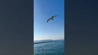 Стамбул 2023 мечты сбываются 💥