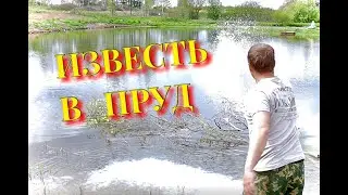 Вношу известь в свой пруд известкование водоёма, 20кг негашёной извести