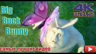 Большой кролик Бак. Big Buck Bunny UHD⁄ 4K 60fps. Детское видео для хорошего настроения.