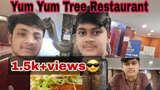 Aaj Hum Jarahe Hai Yum Yum Tree Restaurant 🍔