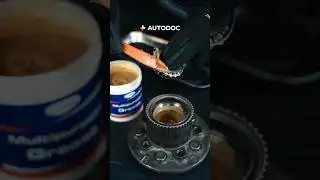 How to assemble a wheel bearing | AUTODOC 
