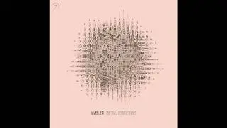 Ambler & Medjula - Madness In The Method