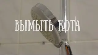 Simon Says: #80level: Вымыть кота