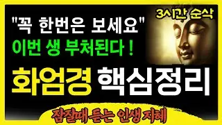 인생에 딱 한번! '화엄경 요약본' 꼭 보세요! | 불교명언 | Meditation Mindfulness Buddha