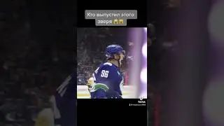 Русские тащат в NHL 👊